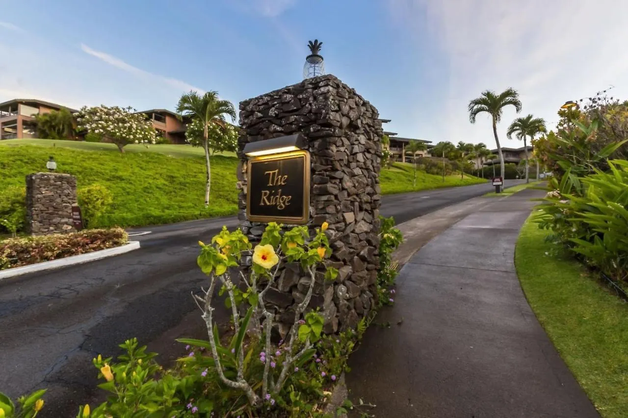 Gorgeous Kapalua Home With Views 卡哈纳 公寓