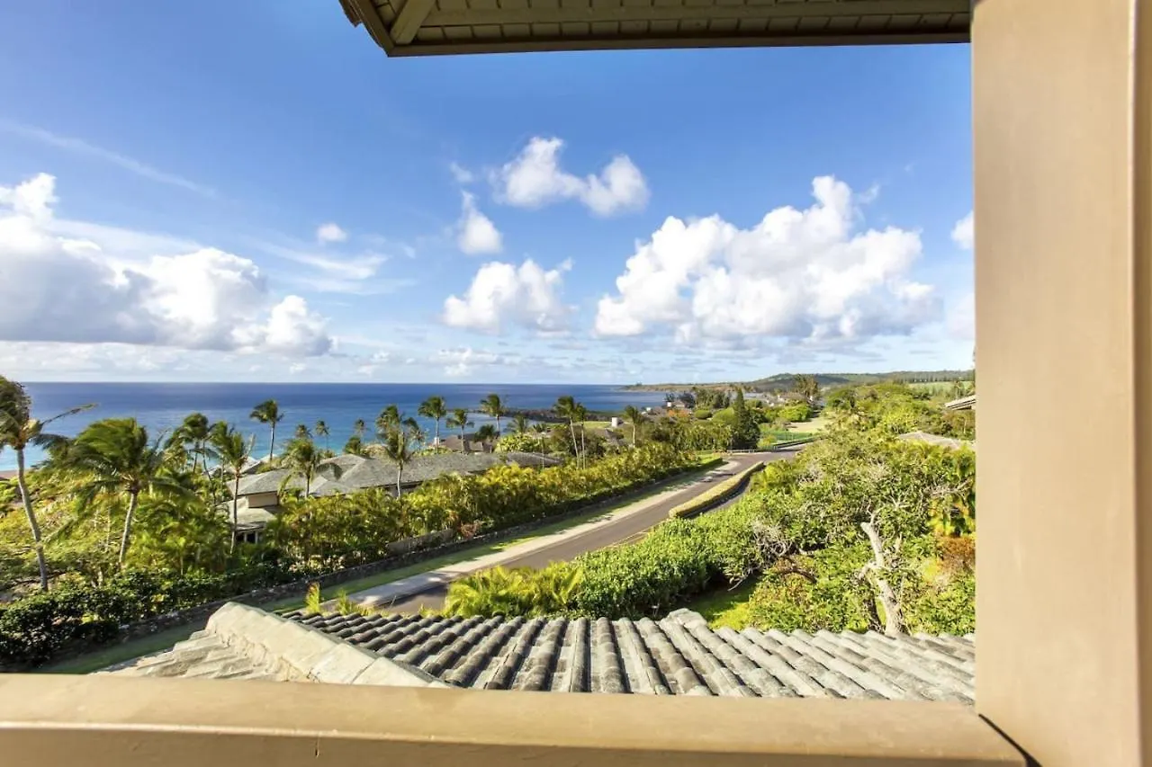 公寓 Gorgeous Kapalua Home With Views 卡哈纳 美国