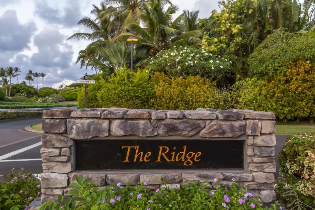 Gorgeous Kapalua Home With Views 卡哈纳
